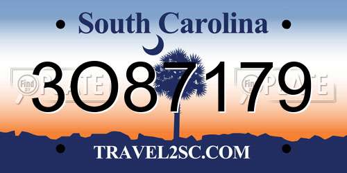 3O87179 South Carolina License Plate