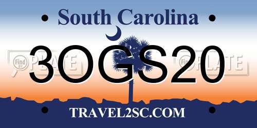 3OGS20 South Carolina License Plate