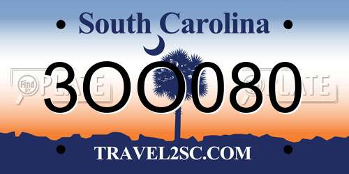 3OO080 South Carolina License Plate