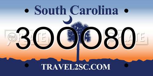3OOO80 South Carolina License Plate
