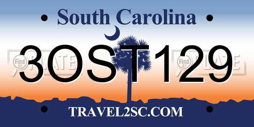 3OST129 South Carolina License Plate