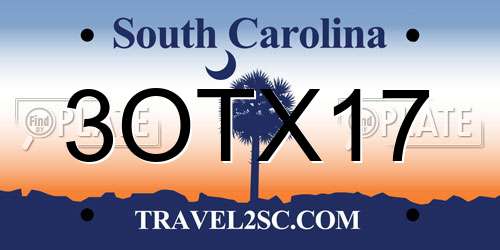 3OTX17 South Carolina License Plate