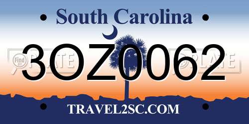 3OZ0062 South Carolina License Plate