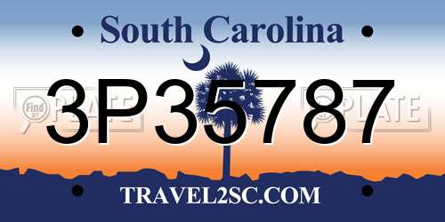 3P35787 South Carolina License Plate