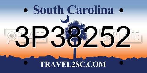3P38252 South Carolina License Plate