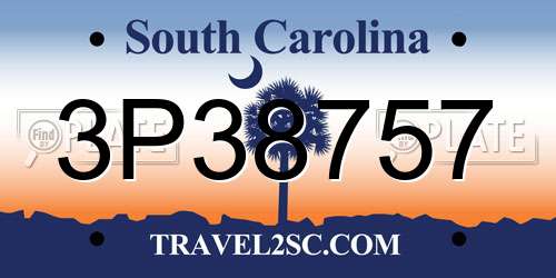 3P38757 South Carolina License Plate