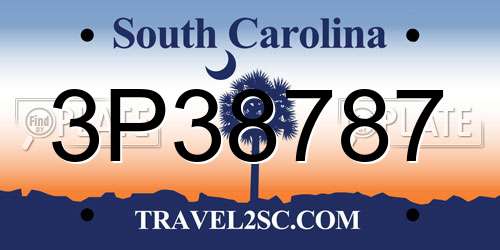 3P38787 South Carolina License Plate