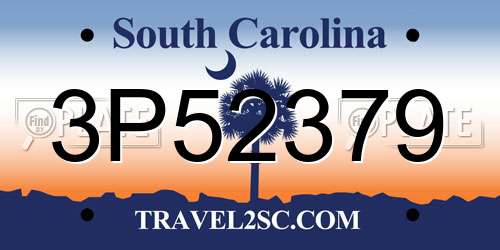 3P52379 South Carolina License Plate