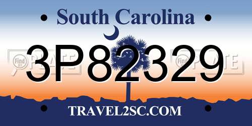 3P82329 South Carolina License Plate