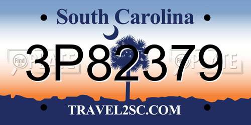 3P82379 South Carolina License Plate