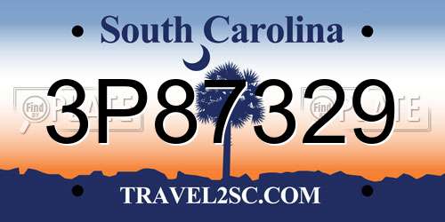 3P87329 South Carolina License Plate