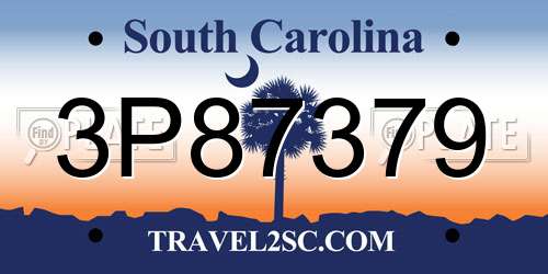 3P87379 South Carolina License Plate