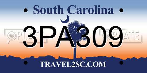 3PA309 South Carolina License Plate