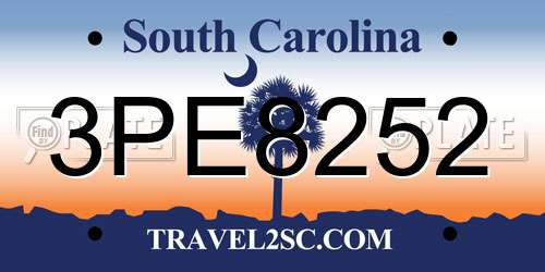 3PE8252 South Carolina License Plate