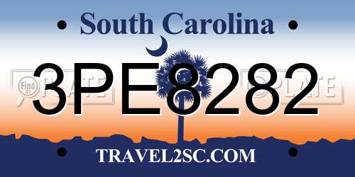 3PE8282 South Carolina License Plate