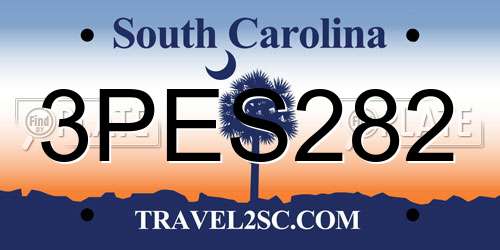 3PES282 South Carolina License Plate