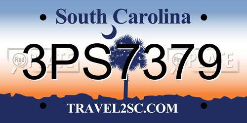 3PS7379 South Carolina License Plate