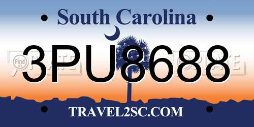 3PU8688 South Carolina License Plate