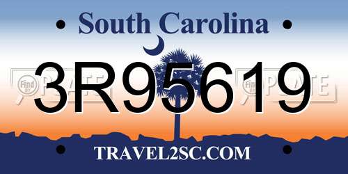 3R95619 South Carolina License Plate