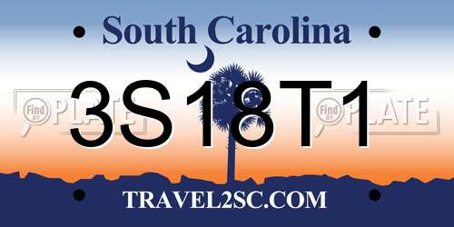 3S18T1 South Carolina License Plate