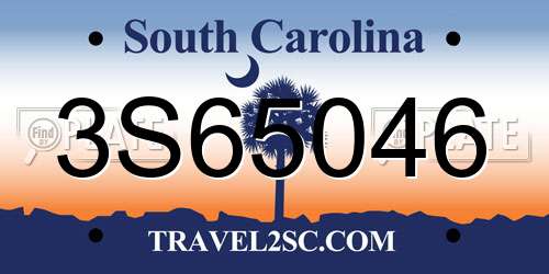 3S65046 South Carolina License Plate