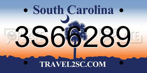 3S66289 South Carolina License Plate