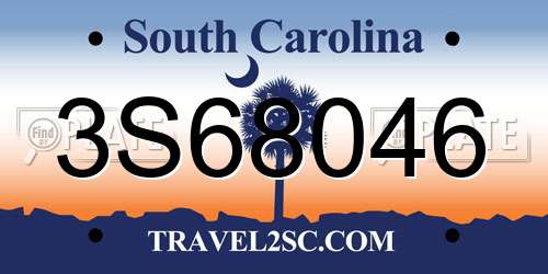 3S68046 South Carolina License Plate