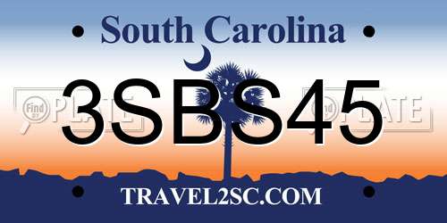 3SBS45 South Carolina License Plate