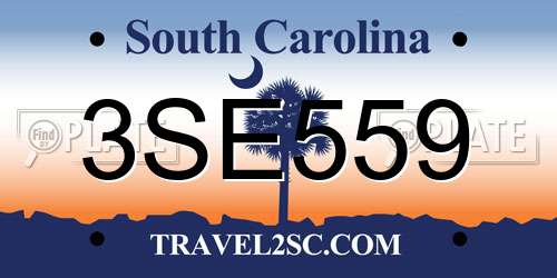 3SE559 South Carolina License Plate
