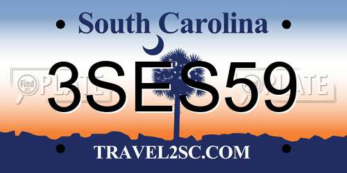3SES59 South Carolina License Plate