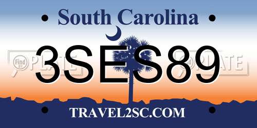 3SES89 South Carolina License Plate