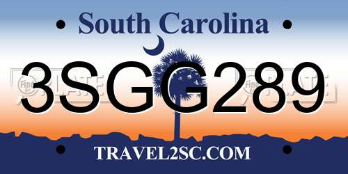 3SGG289 South Carolina License Plate