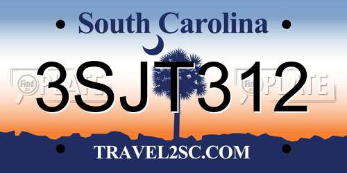 3SJT312 South Carolina License Plate