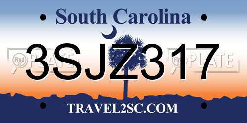 3SJZ317 South Carolina License Plate