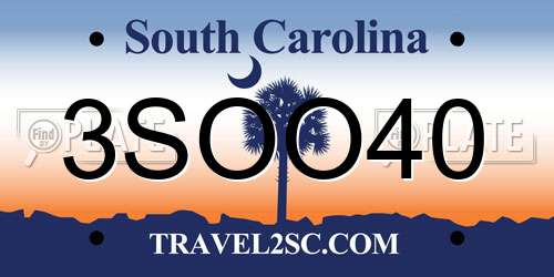 3SOO40 South Carolina License Plate