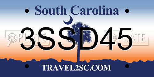 3SSD45 South Carolina License Plate