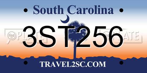 3ST256 South Carolina License Plate