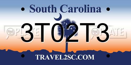 3T02T3 South Carolina License Plate