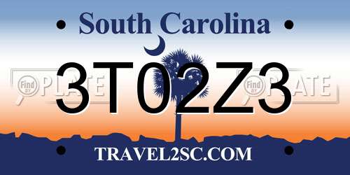 3T02Z3 South Carolina License Plate