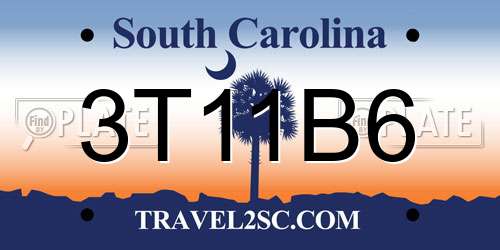 3T11B6 South Carolina License Plate