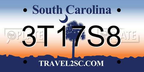 3T17S8 South Carolina License Plate