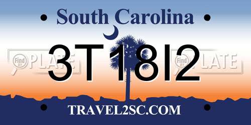 3T18I2 South Carolina License Plate