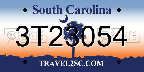 3T23054 South Carolina License Plate