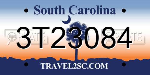 3T23084 South Carolina License Plate