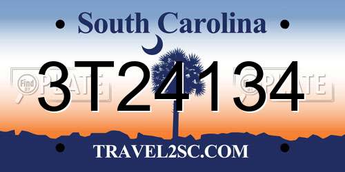 3T24134 South Carolina License Plate