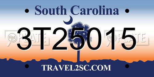 3T25015 South Carolina License Plate