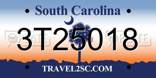 3T25018 South Carolina License Plate