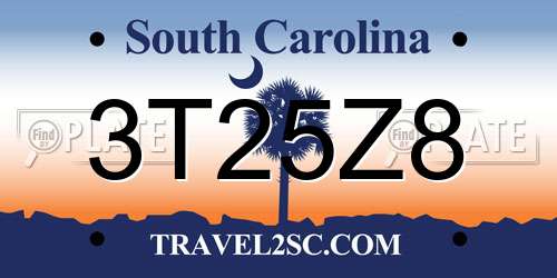 3T25Z8 South Carolina License Plate