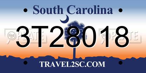 3T28018 South Carolina License Plate