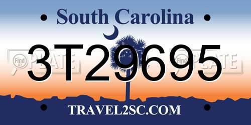 3T29695 South Carolina License Plate